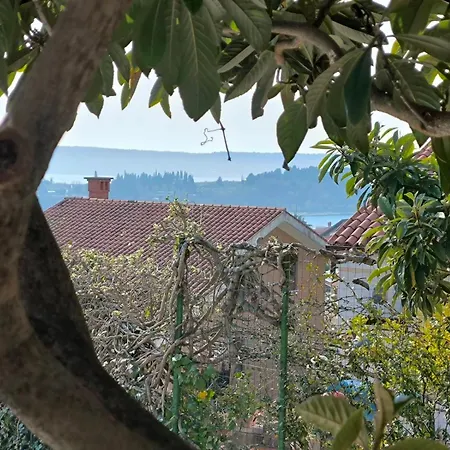 Kala בפורטורוז